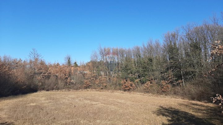 Terrain À vendre - Istarska Svetvinčenat - foto 3/6