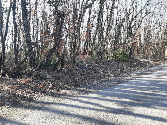 Terrain À vendre - Istarska Svetvinčenat - foto 5/6