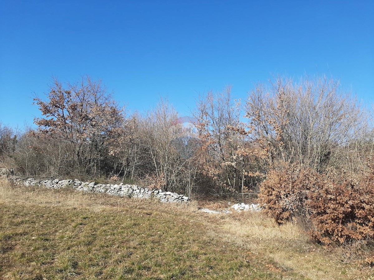 Pozemek Na prodej - ISTARSKA  SVETVINČENAT 