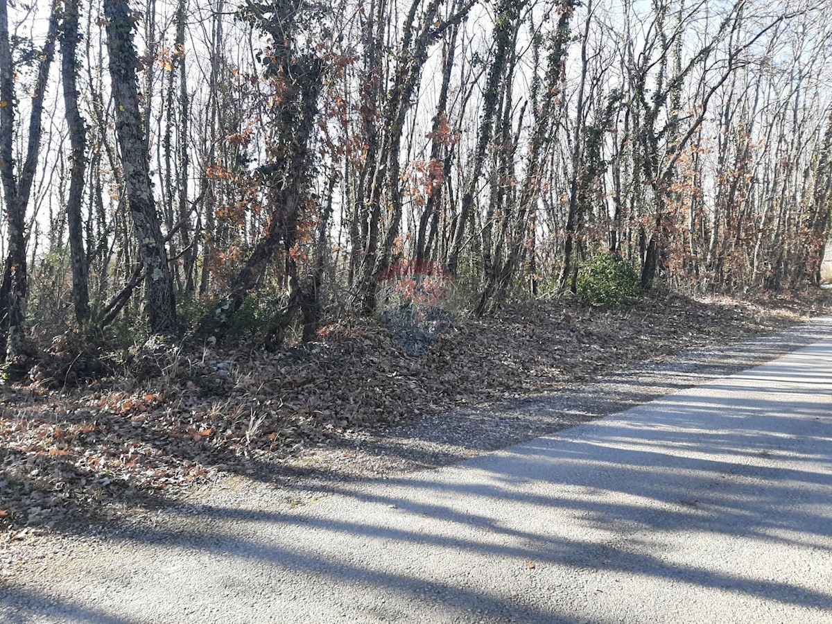Pozemek Na prodej - ISTARSKA  SVETVINČENAT 