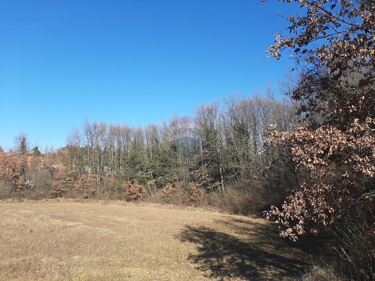 Terrain À vendre - ISTARSKA  Svetvinčenat
