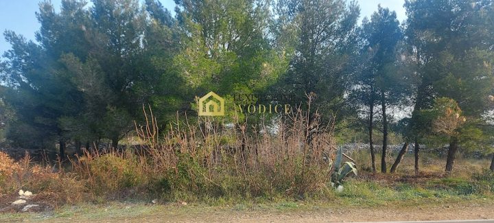 Land For sale SRIMA
