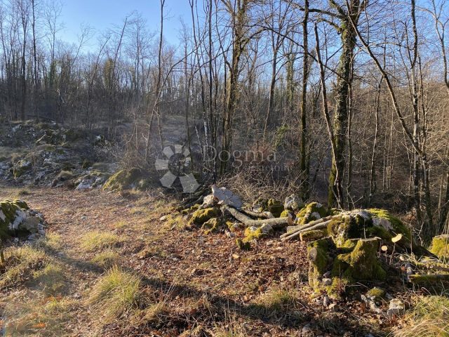 Land For sale - Primorsko-goranska Matulji - foto 2/3