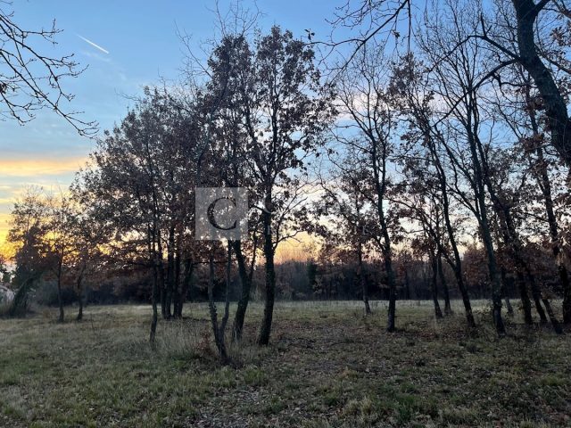 Land For sale - Istarska Umag - foto 2/3