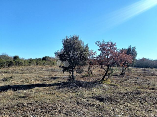 Terrain à vendre 710 m² – Peroj