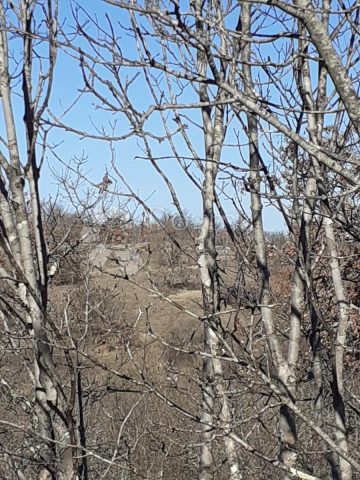 Terreno In vendita - Istarska Bale - foto 5/5