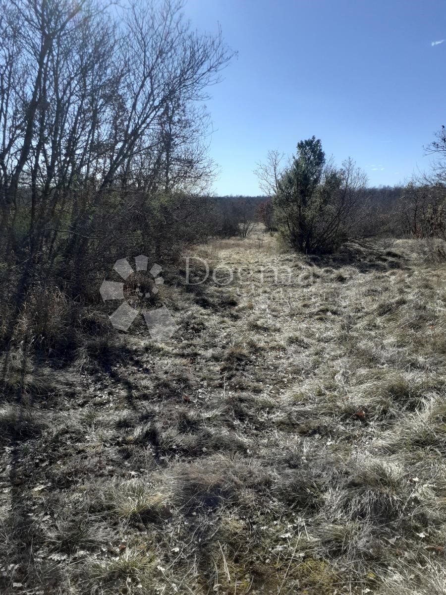 Pozemek Na prodej - Istarska Bale - foto 4/5