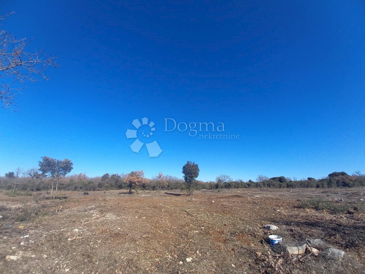 Terrain À vendre - Istarska Vodnjan - foto 1/2