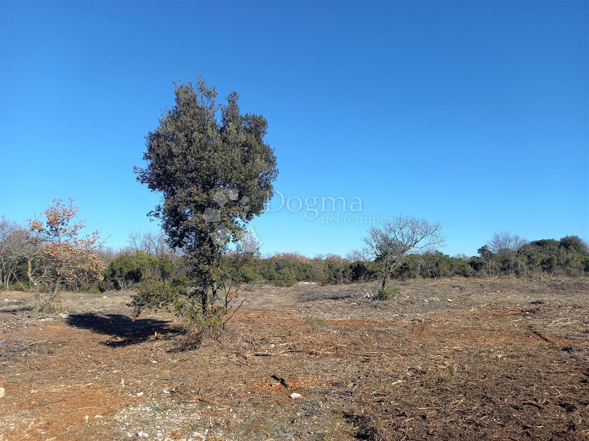 Terrain À vendre - Istarska Vodnjan - foto 2/2