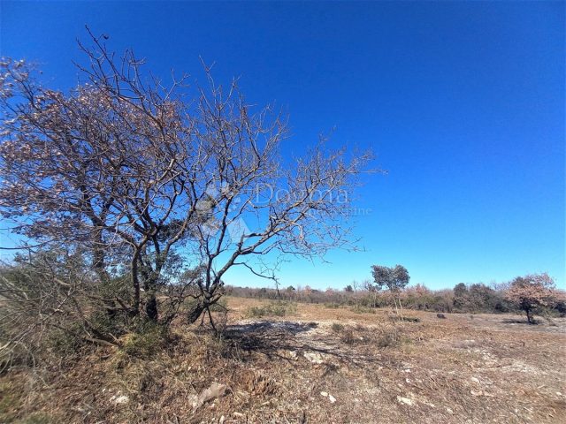 Terrain à vendre 483 m² – Peroj