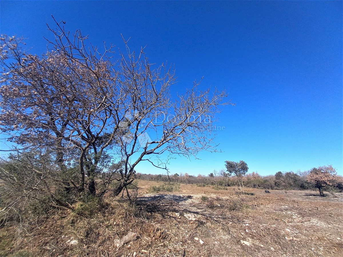 Terrain À vendre - Istarska Vodnjan - foto 1/2