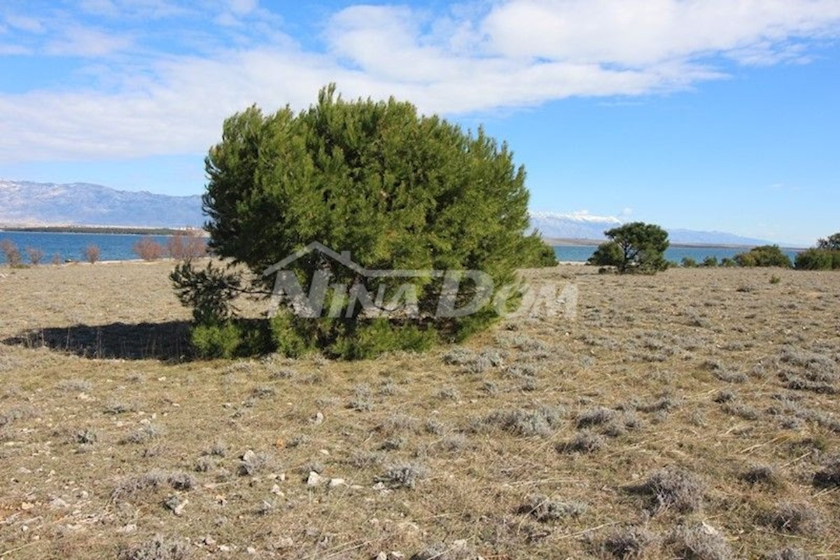 Terrain À vendre - ZADARSKA  Vir