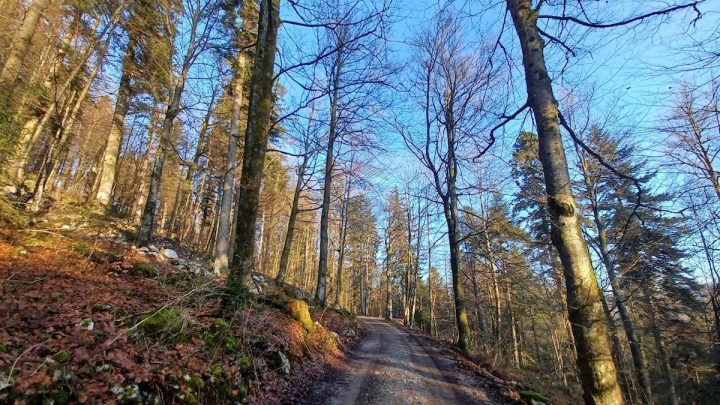 Land For sale - Primorsko-goranska Delnice - foto 2/2