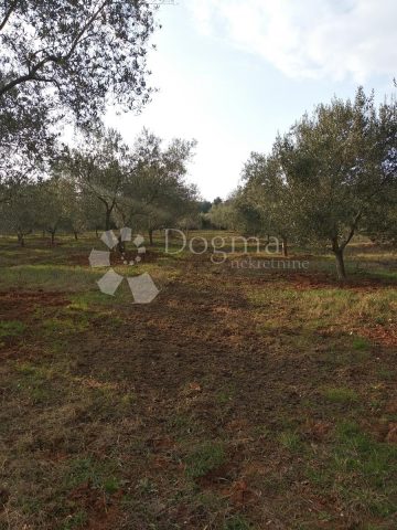 Land for sale 14000 m² – Rovinj