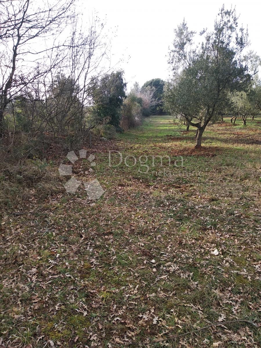 Pozemok Na predaj - ISTARSKA  ROVINJ 