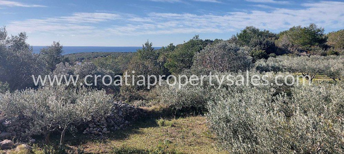 Land For sale VIS