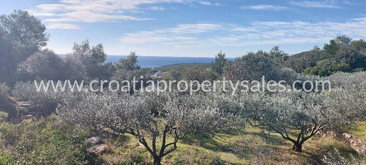 Land For sale - SPLITSKO-DALMATINSKA  VIS 