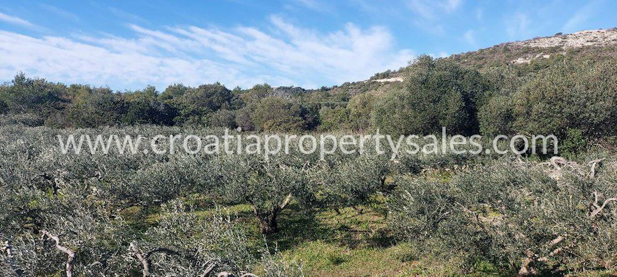 Land For sale - SPLITSKO-DALMATINSKA  VIS 