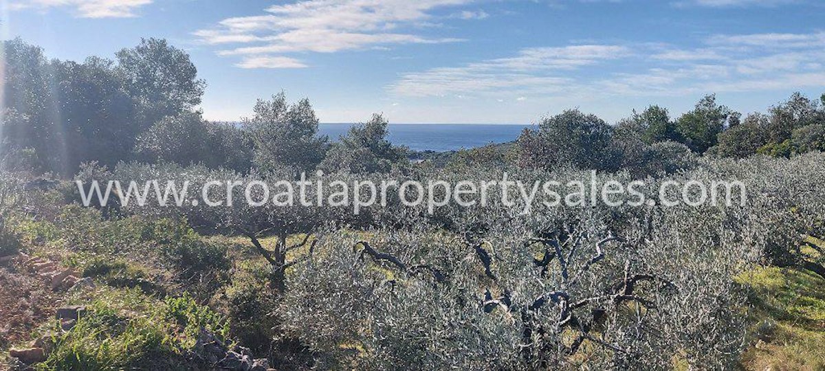 Land For sale - SPLITSKO-DALMATINSKA  VIS 