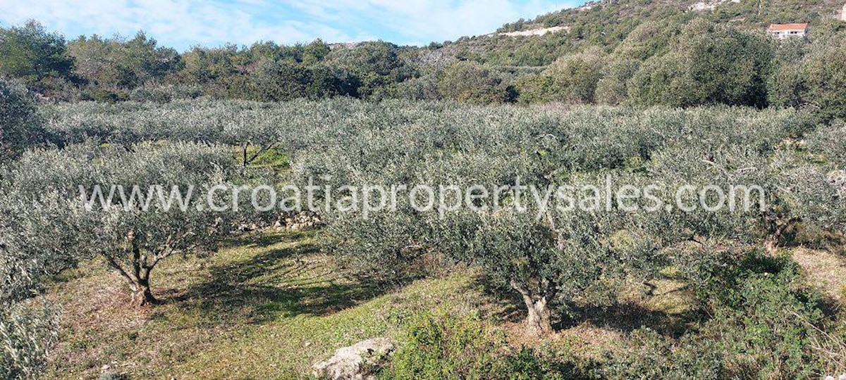 Land For sale - SPLITSKO-DALMATINSKA  VIS 