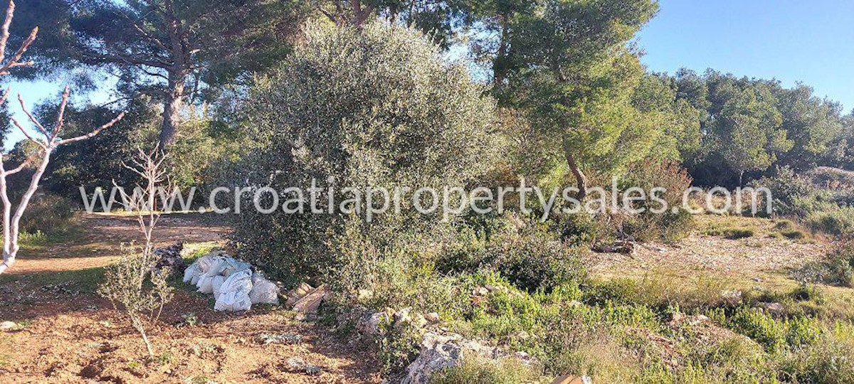 Land For sale - SPLITSKO-DALMATINSKA  VIS 