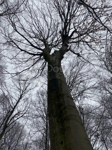 Parcela Naprodaj - Međimurska Štrigova - foto 5/5