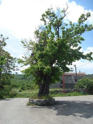 Terreno in vendita 492 m² – Mali Podol
