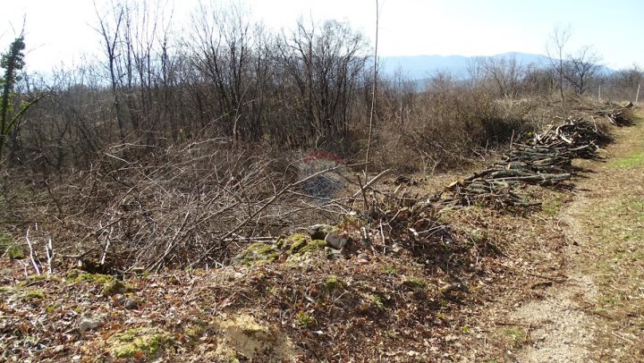 Terrain à vendre 2731 m² – Viškovo