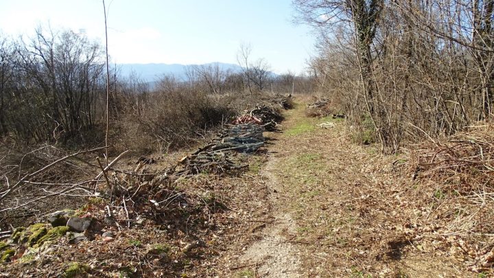 Terrain à vendre 1614 m² – Viškovo