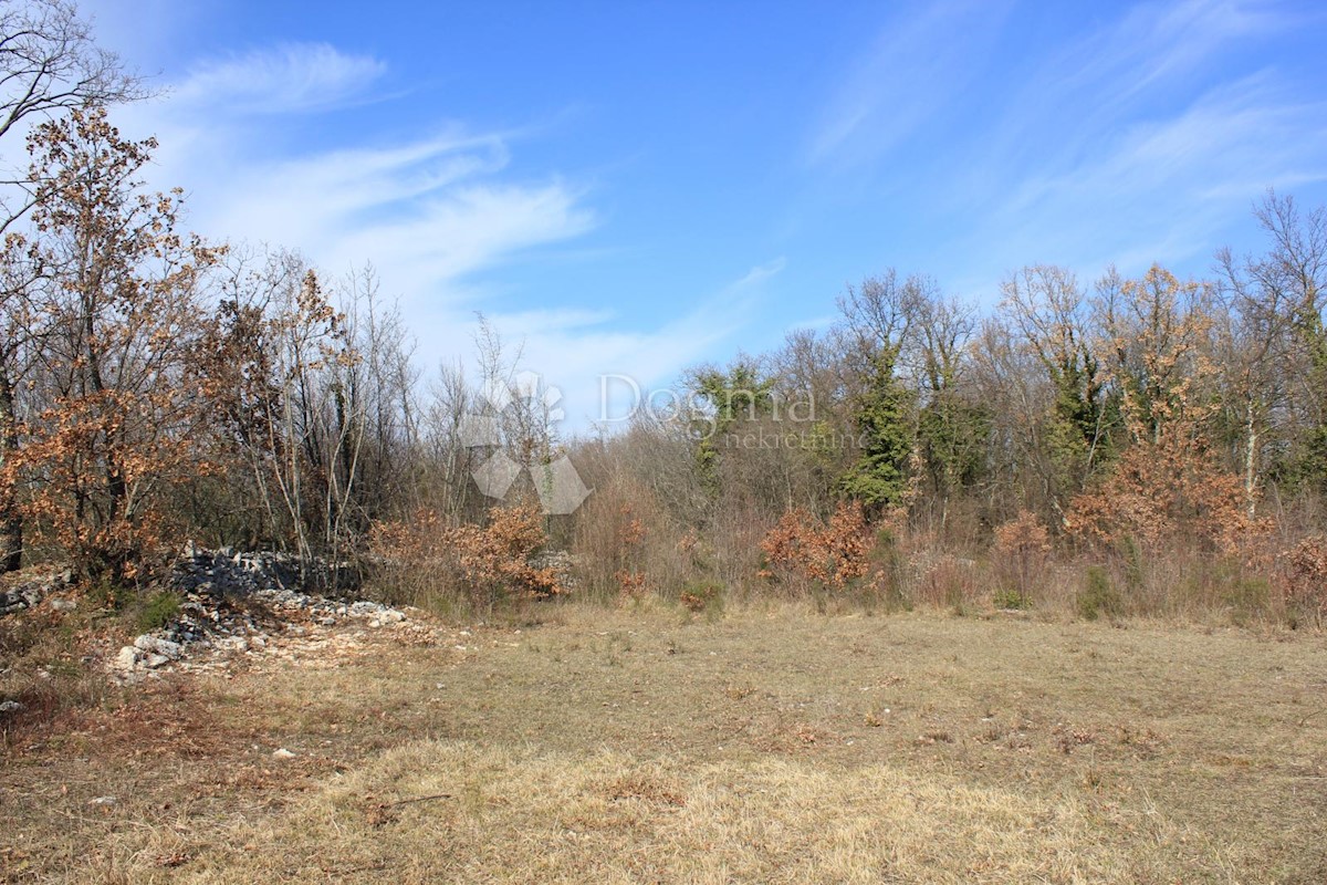 Terreno In vendita - ISTARSKA  SVETVINČENAT 