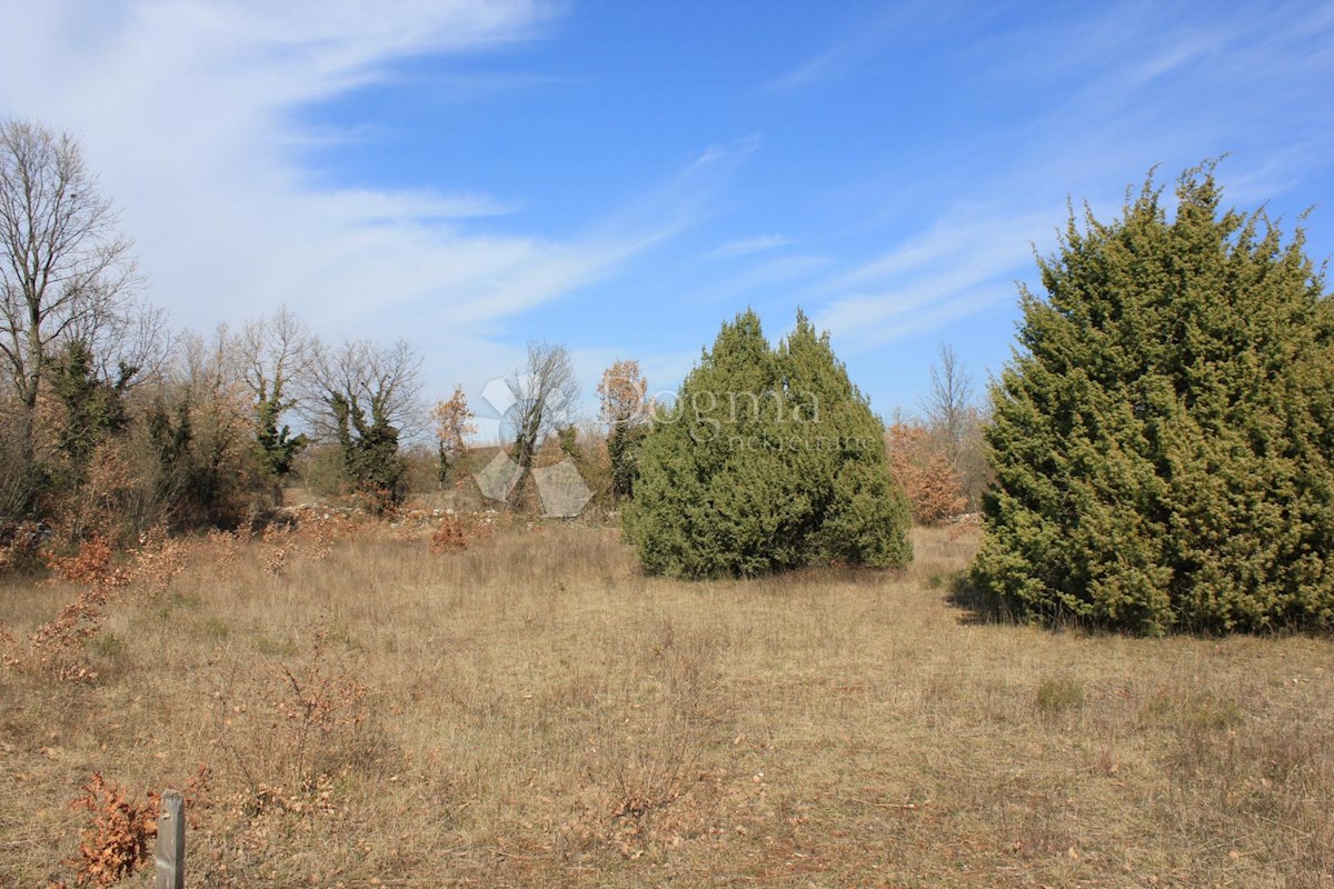 Terreno In vendita - ISTARSKA  SVETVINČENAT 