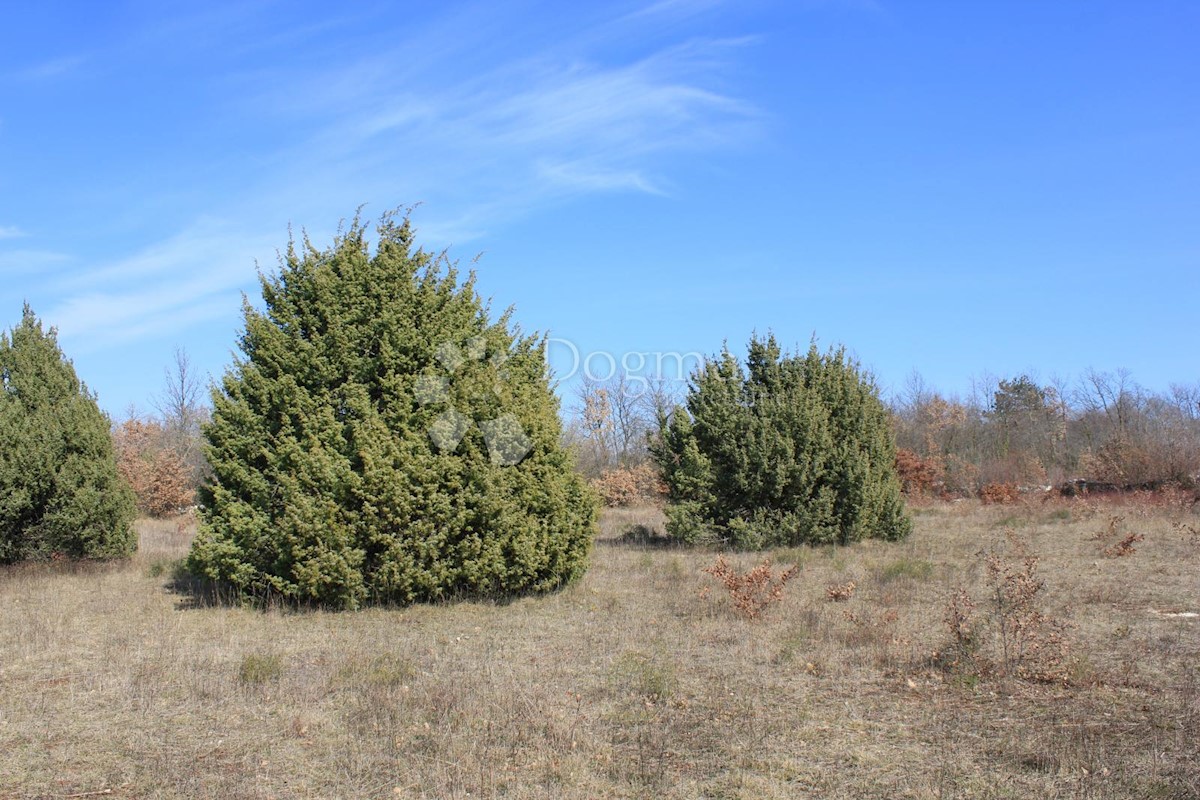 Terreno In vendita - ISTARSKA  SVETVINČENAT 