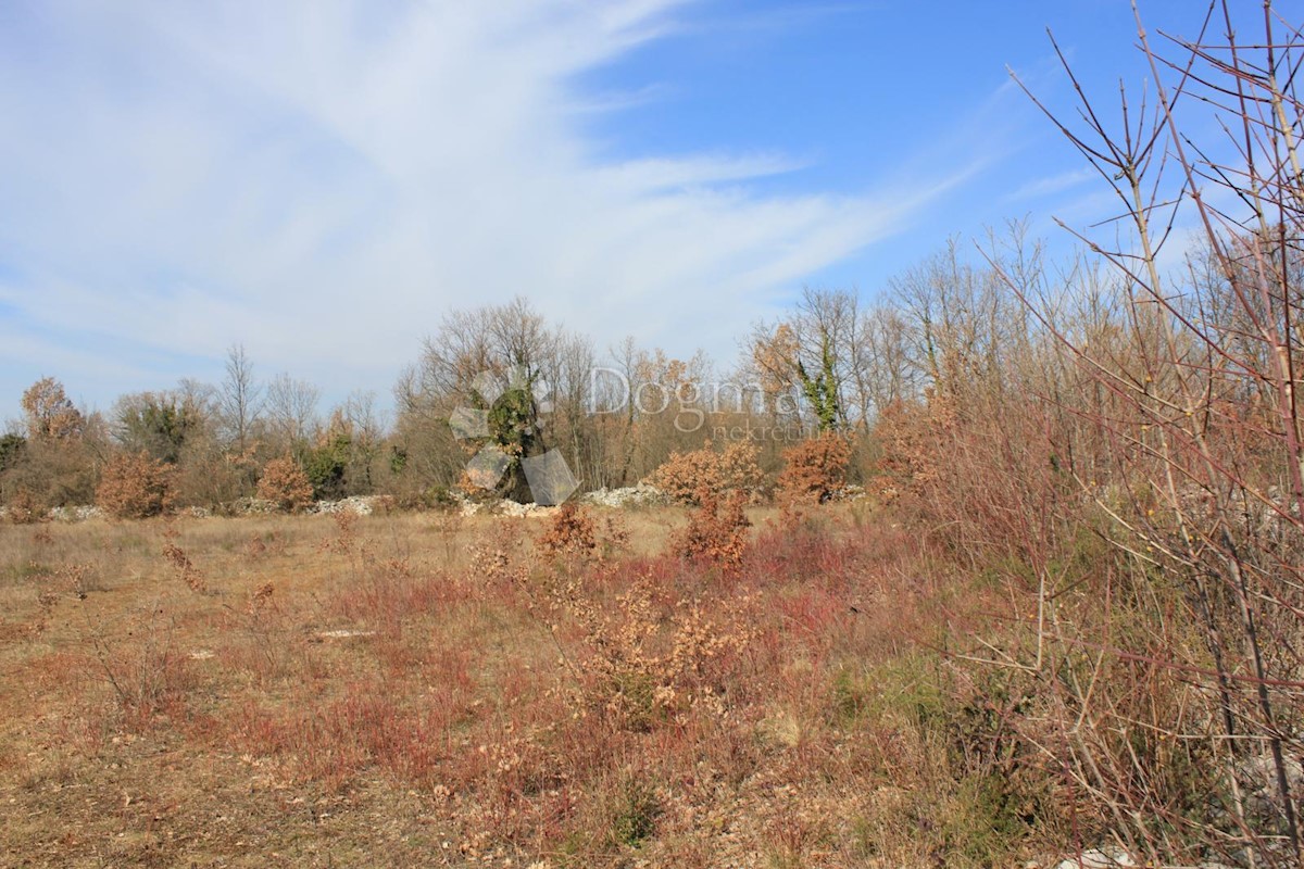 Terreno In vendita - ISTARSKA  SVETVINČENAT 