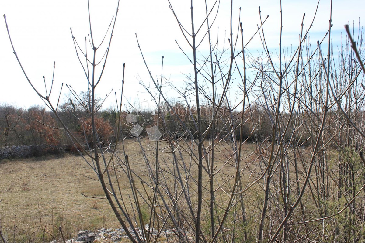 Terreno In vendita - ISTARSKA  SVETVINČENAT 
