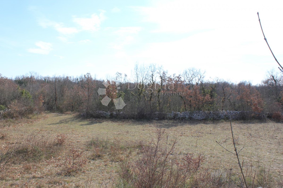 Terrain À vendre - ISTARSKA  Svetvinčenat
