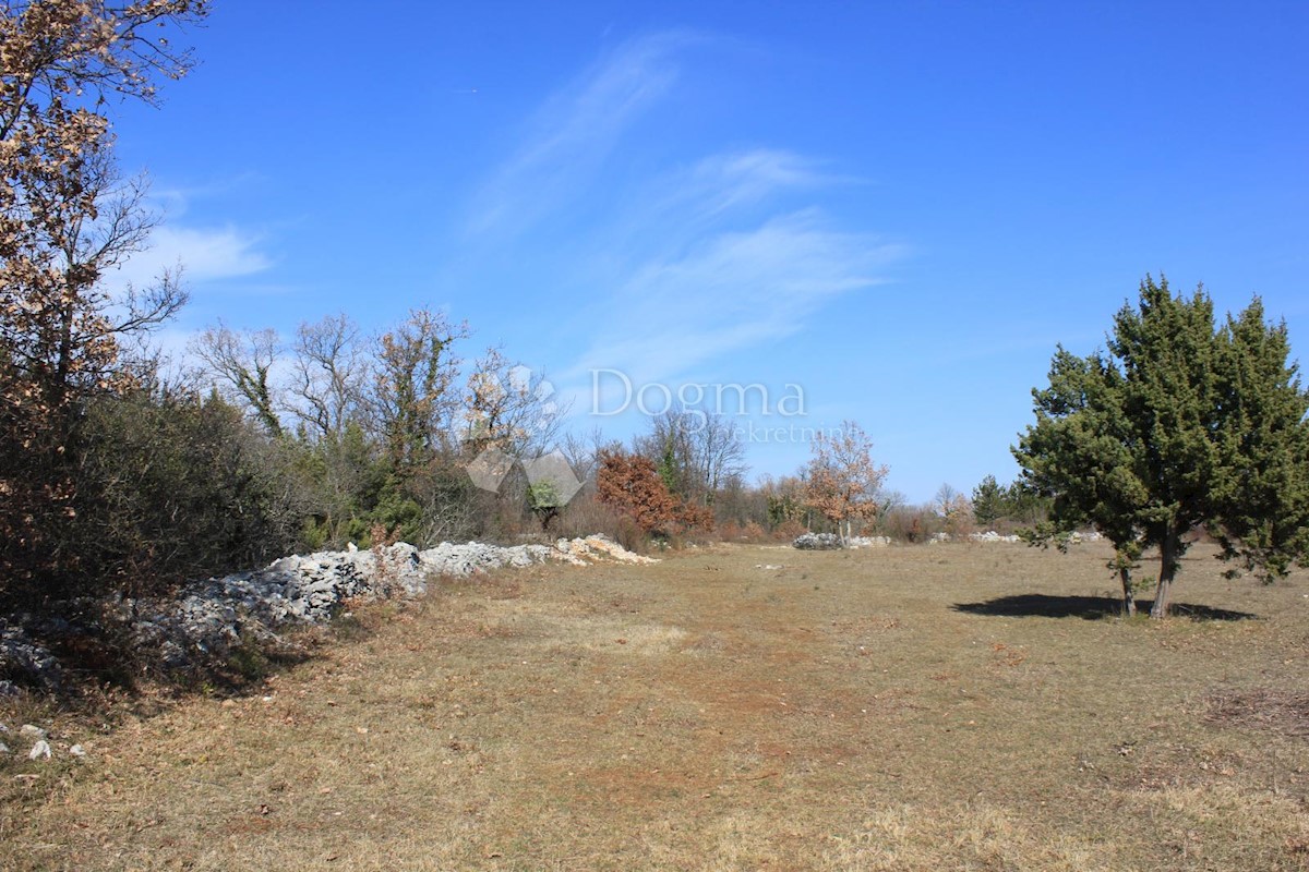 Terreno In vendita - ISTARSKA  SVETVINČENAT 