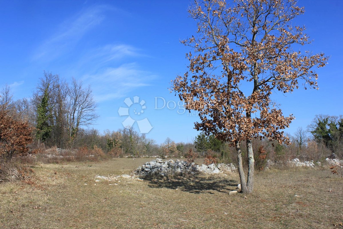 Terreno In vendita - ISTARSKA  SVETVINČENAT 