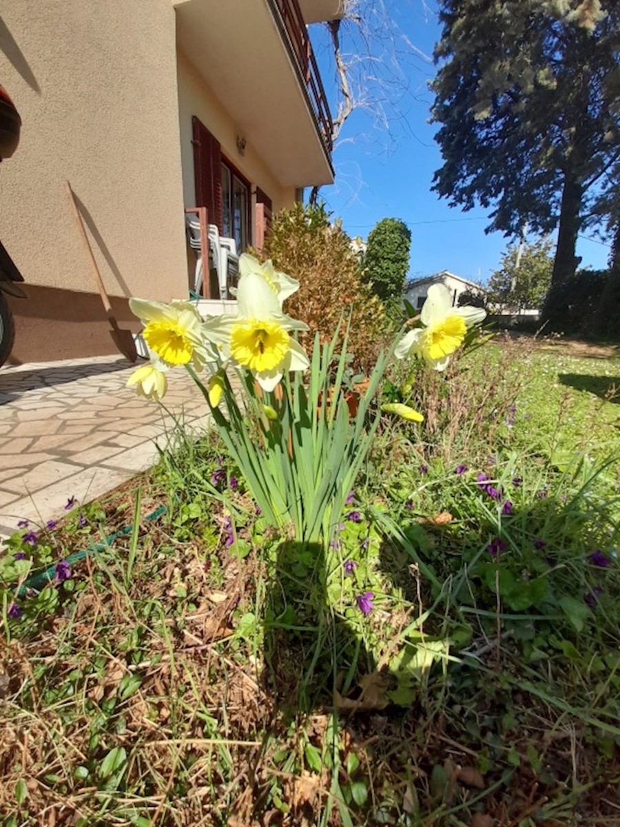 Kuća Na prodaju - ISTARSKA  MEDULIN 