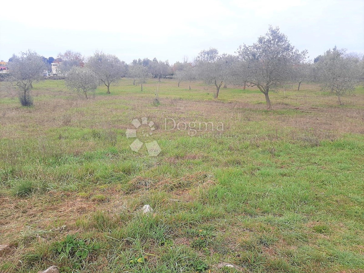 Land For sale - ISTARSKA  VODNJAN 