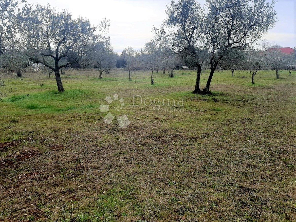 Land For sale - ISTARSKA  VODNJAN 