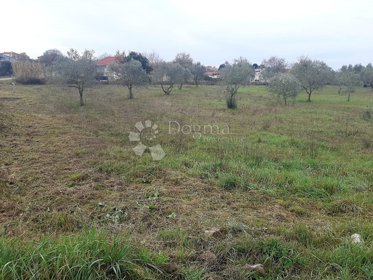 Land For sale - ISTARSKA  VODNJAN 