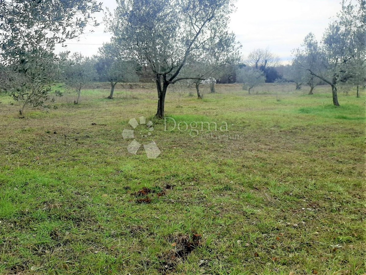 Land For sale - ISTARSKA  VODNJAN 