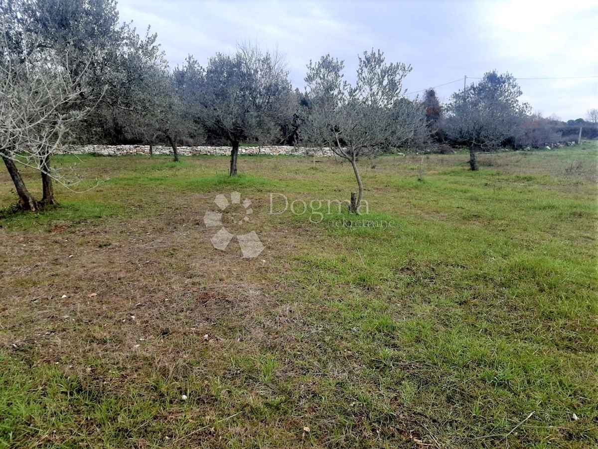 Land For sale - ISTARSKA  VODNJAN 