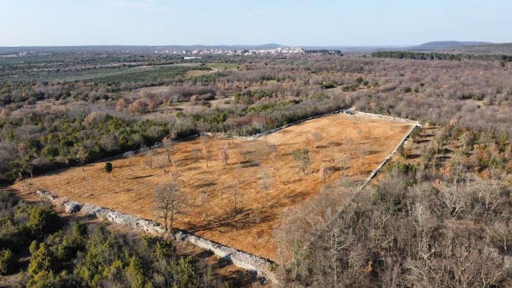 Pozemok na predaj 11470 m² – Bale