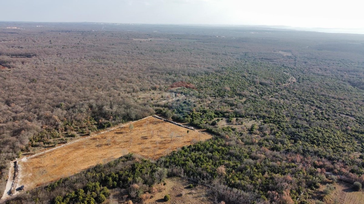 Terreno In vendita - ISTARSKA  Bale