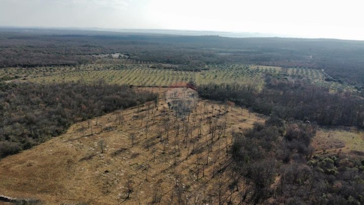 Parcela Naprodaj - Istarska Bale - foto 2/4