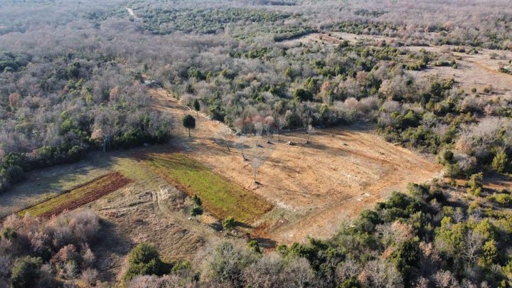 Pozemok na predaj 9865 m² – Bale