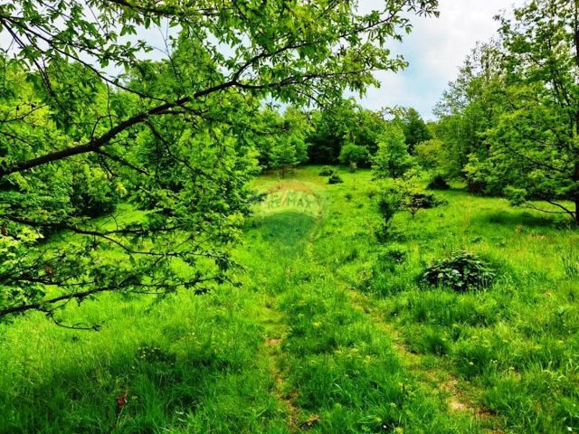 Land for sale 5510 m² – Klana