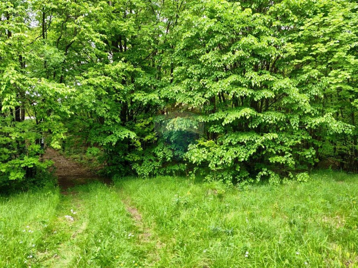 Land For sale - PRIMORSKO-GORANSKA  KLANA 