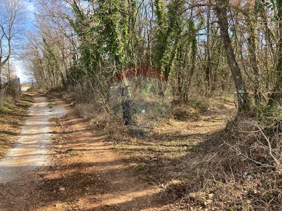 Zemljište Na prodaju - ISTARSKA  POREČ 